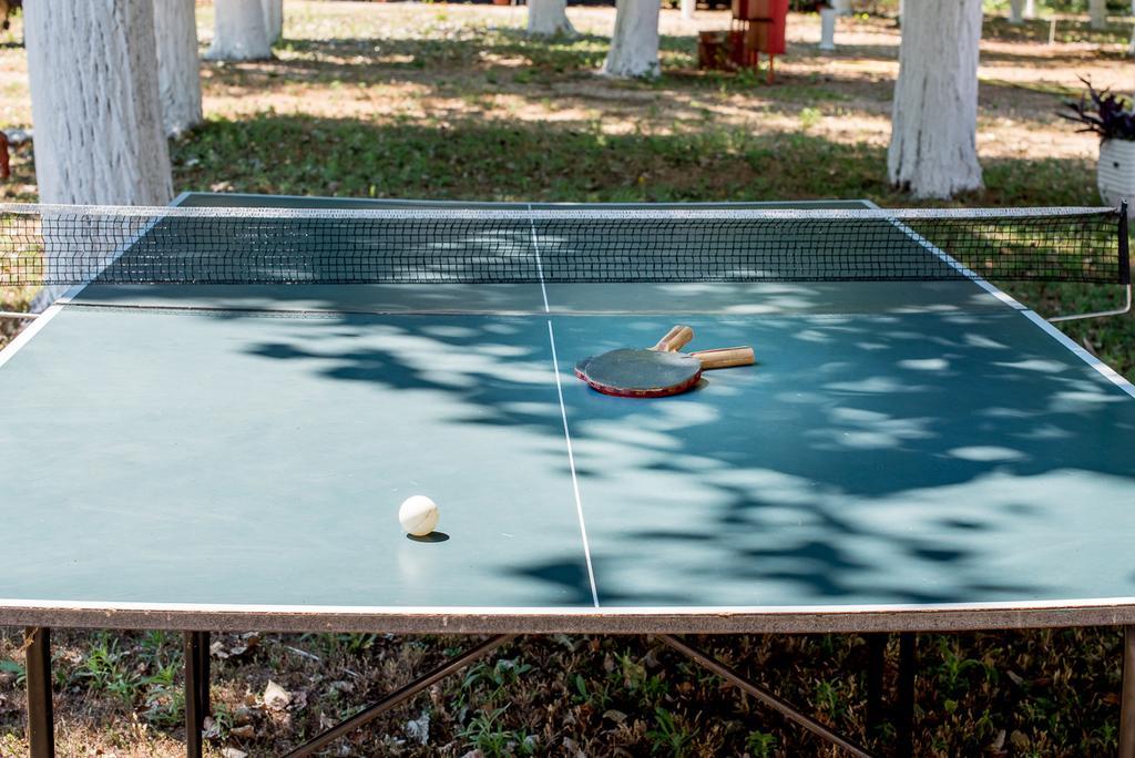 Kalamitsi Beach Camping Village Preveza Eksteriør billede